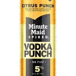 MM CITRUS PUNCH 355ml
