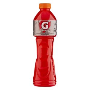 GATORADE FRUIT PUNCH 600ml