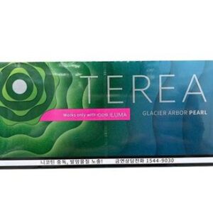 TEREA GLACIER X 10 UNIDADES
