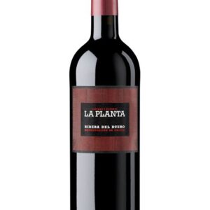 ARZUAGA LA PLANTA 750ml