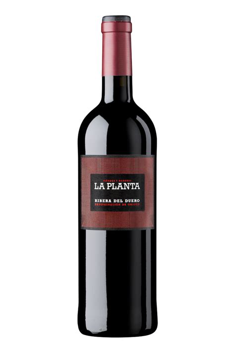 ARZUAGA LA PLANTA 750ml